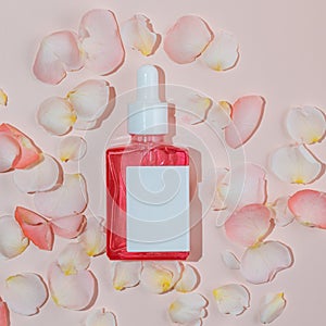 A glass dropper bottle with beauty care serum, hyaluronic acid and vitamins on pink background with rose petals and