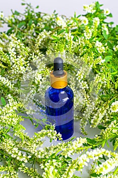 A glass dropper bottle blue on a scattering of fragrant wildflowers. Natural cosmetic and skincare. Aroma essential oil