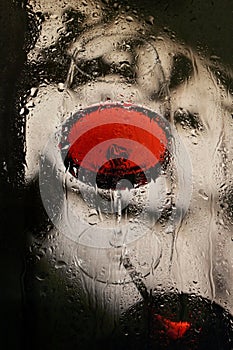 Glass Of Dry Red Wine Through Rainy Window