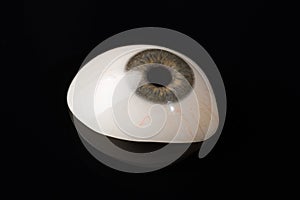 Glass eye prosthetic or Ocular prosthesis on black