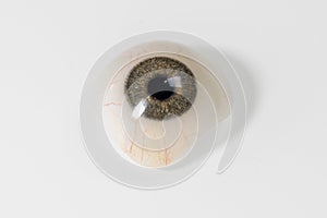 Glass eye prosthetic or Ocular prosthesis with shadow on white