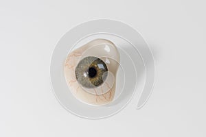 Glass eye prosthetic or Ocular prosthesis with shadow on white