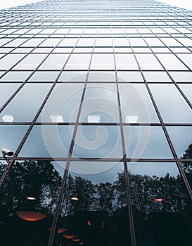 Glass facade of a business building