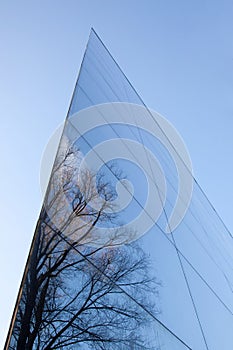 Glass facade and reflection of trees