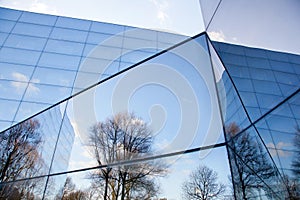 Glass facades of modern office building and reflection of trees