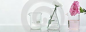 Glass flask and beaker with pink white flower and green plant biotechnology cosmetic science white banner background