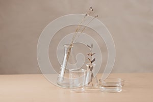 Glass flask with flowers on table in laboratory