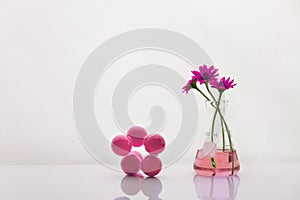 Glass flask with pink flower with chemical structure with white biotechnology science background