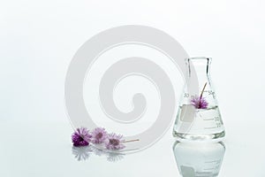 Glass flask with water and pink purple cute flower in white cosmetic biotechnology science background