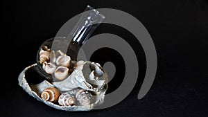 A glass fountain with sea shells inside.