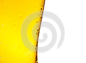 Glass of fresh beer with drops on white background