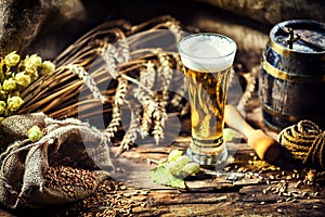 Glass of fresh cold beer in rustic setting. Food and beverage ba