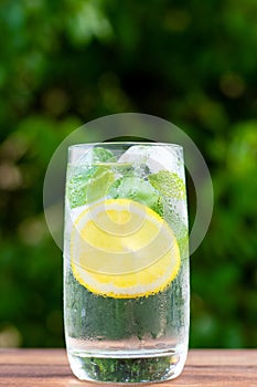 Glass of fresh homemade citrus lemonade with lemon, mint and ice against greenery. Summer cold refreshing drinks