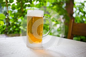 Glass with fresh lager beer.