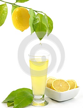 Glass of a fresh lemon juice