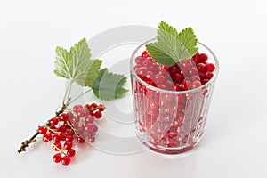 Glass full of red currant berries with decorative branch