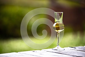 A glass of Gentian flavored Grappa Schnapps glasses in Cortina d`Ampezzo, Dolomites, Italy