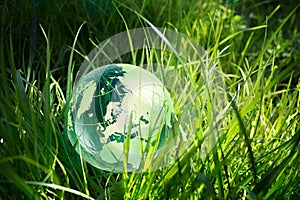 Glass globe in the grass