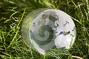 Glass globe in grass