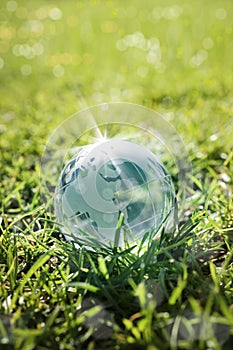 glass globe on green grass