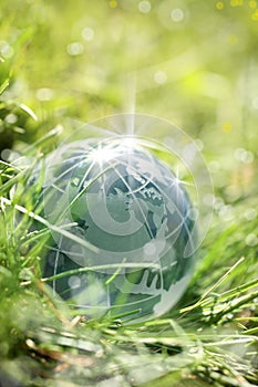 glass globe on green grass