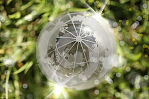 Glass globe on green grass
