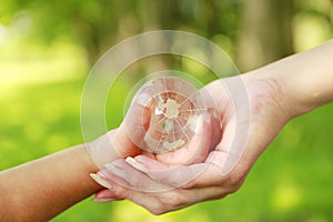 Glass globe in the hand of a parent and child