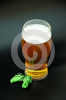 Glass goblet of light beer with white foam and hops on a black background