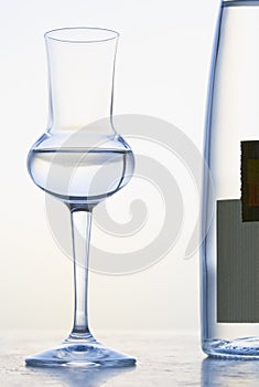 Glass of Grappa