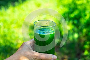 A glass with a green drink with chlorophyll, made from fresh leafy green plants in a woman& x27;s hand. Healthy vitamin