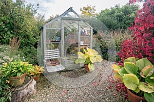 Glass greenhouse surrounded by plants and trees in autumncolors