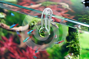 Glass hang-on CO2 aquarium drop checker