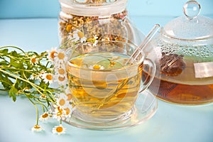Glass of healthy herbal camomille tea. Naturopathy. Matricaria chamomilla