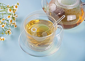 Glass of healthy herbal camomille tea. Naturopathy. Matricaria chamomilla photo