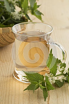 Glass of healthy white dead nettle tea