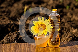 Glass honey jar and bottle of oil on wooden stand with ground background