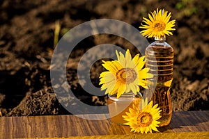 Glass honey jar and bottle of oil on wooden stand with ground background