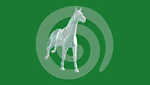 Glass horse in the gallop animation - green screen