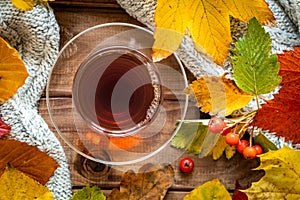 A glass of hot tea, Colorful autumn leaves, Seasonal concept, Beautiful golden autumn season