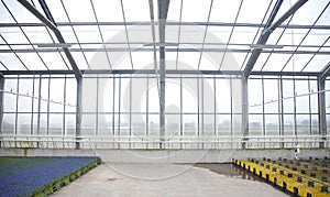 Glass house with flowers