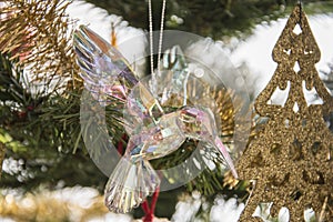 Glass humming bird ornament on christmas tree. Beautiful holida