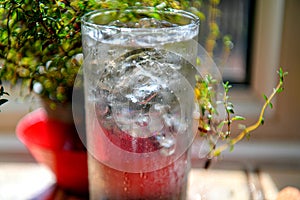 Glass of ice water on the background of oregano