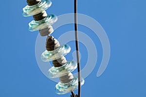 Glass insulators of high voltage electric wire