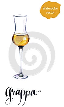 Glass of Italian grappa brandy