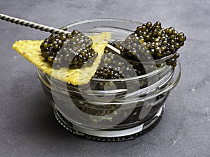 Glass jar with black caviar, and silver spoon, chips. Healthy food. copy space