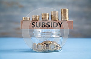 Glass jar of coins with a word Subsidy on wooden block