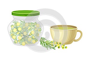 Glass Jar with Fresh Wormwood or Southernwood Plant and Yellow Extraction in Mug Vector Composition
