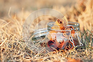 Glass jar with fruit pastille rolls