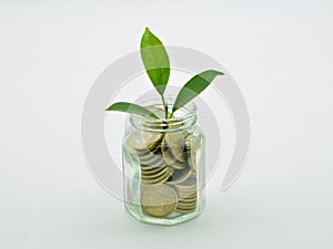 Glass jar full of coins photo