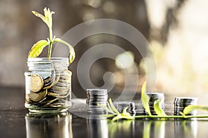 A glass jar full of coins and plant growing through it with some coins and plant leaves.